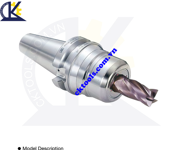 Đầu kẹp dao BIG DAISHOWA BBT30-MEGA20D, DOUBLE POWER CHUCK BBT30-MEGA20D , Holder BBT30-MEGA20D